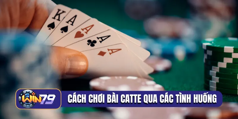 Cách chơi bài catte qua các tình huống